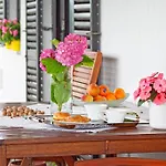 Apartman Orbanici شقة